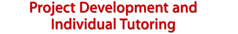 Project Development and Individual Tutoring
